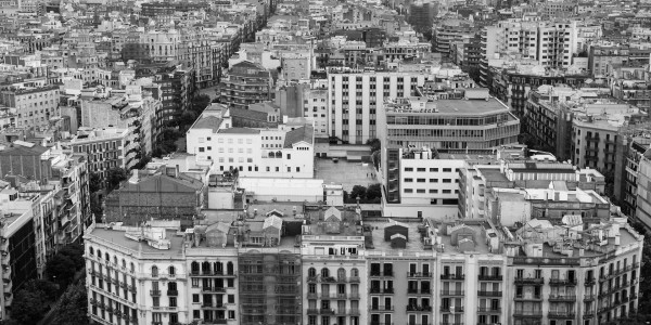 Delitos Contra la Propiedad / Urbanísticos Orusco de Tajuña · Parcelación en Suelo No Edificable